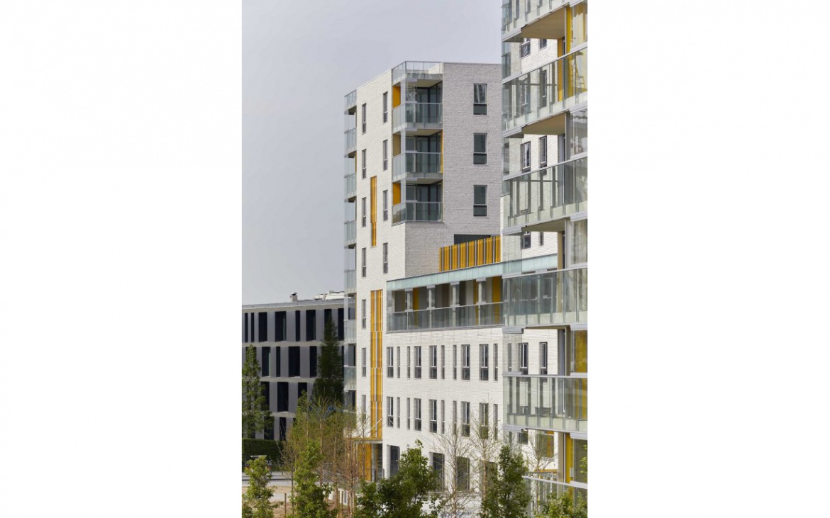 Nieuw Zuid Social Housing