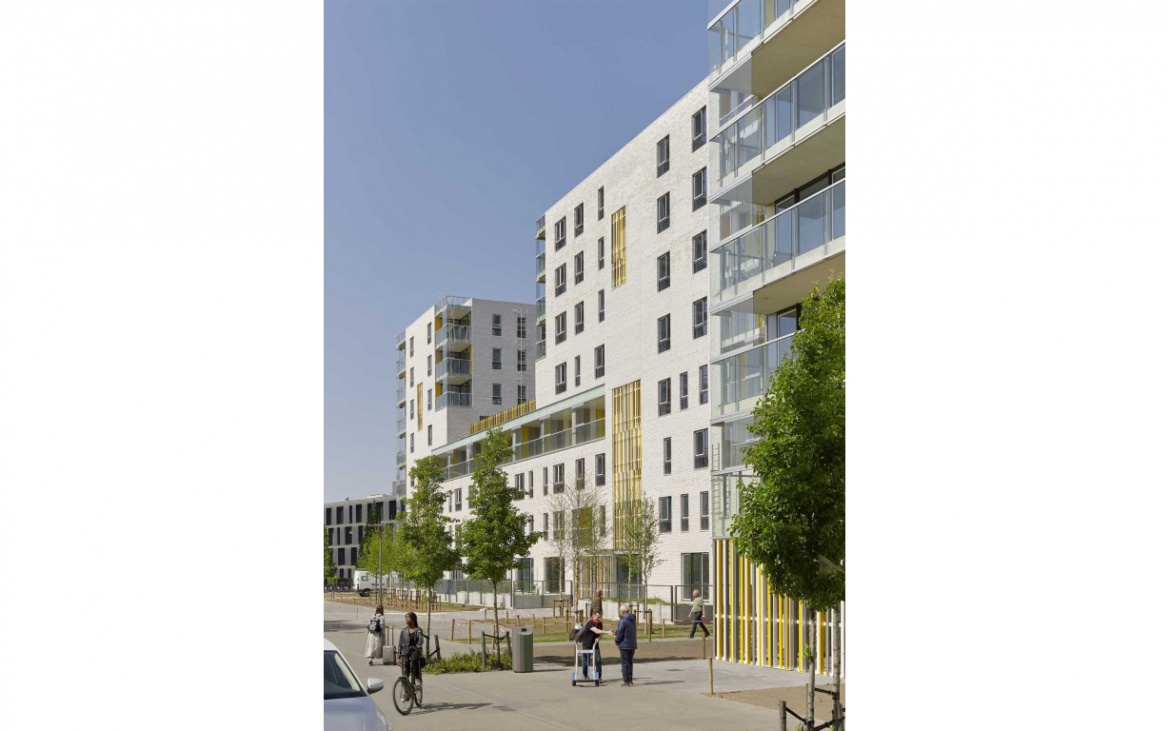 Nieuw Zuid Social Housing